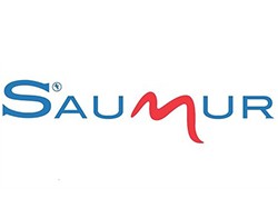 La ville de Saumur 